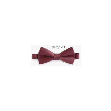 bow-satin