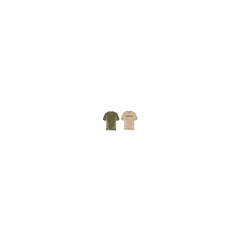 t-fcaribbean